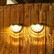 SolaGarden™ Fence Lights