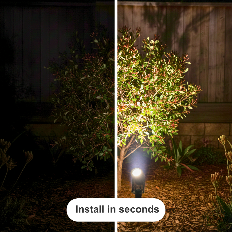 Before and after comparison of a tree illuminated by a light fixture.